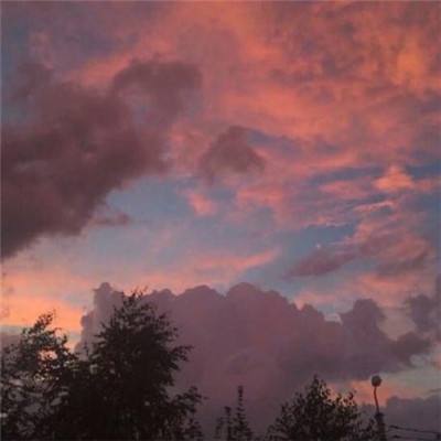 今天买什么特马app下载